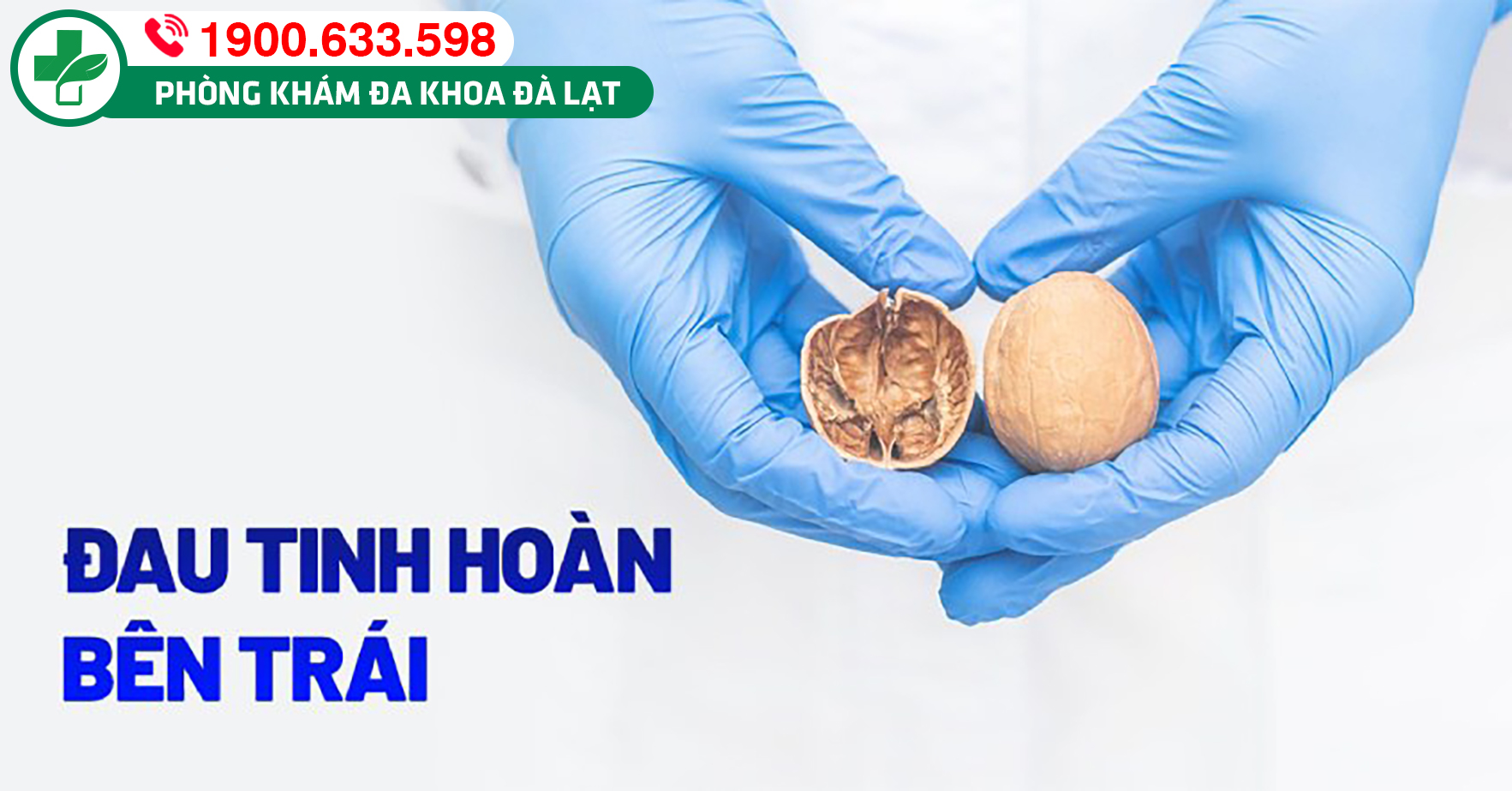 Hình ảnh minh họa