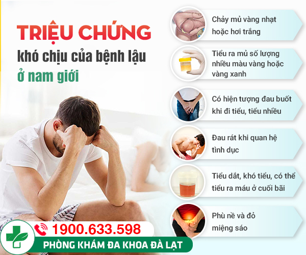Hình ảnh minh họa