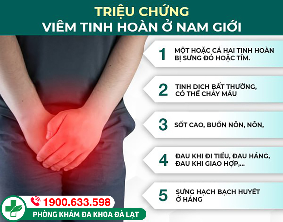 Hình ảnh minh họa