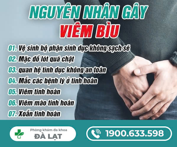 Hình ảnh minh họa