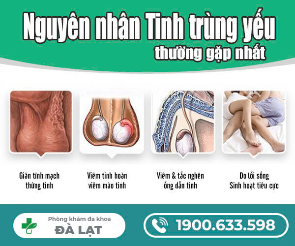 Hình ảnh minh họa